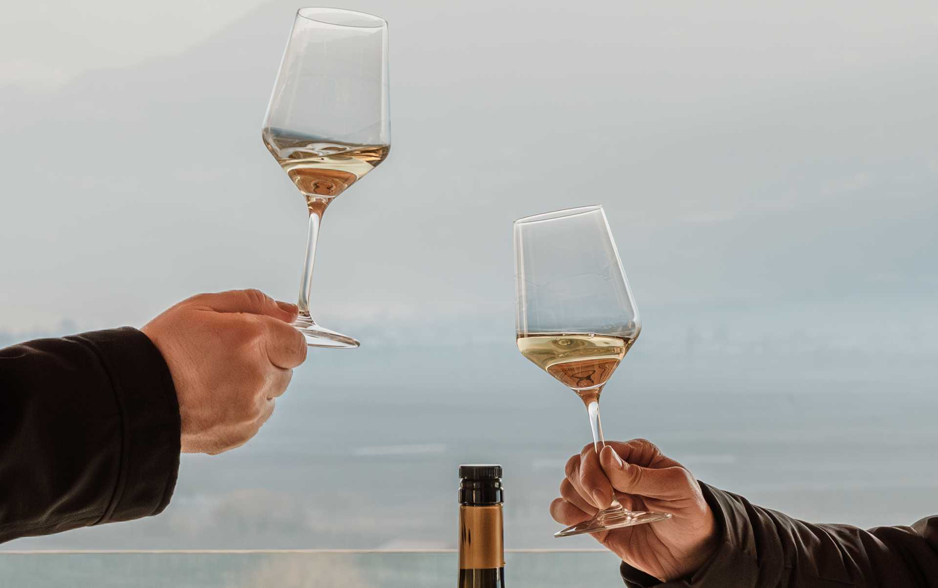 Chardonnay house line from Hotel Christof: very fine to drink 2 glasses of white wine during the tasting