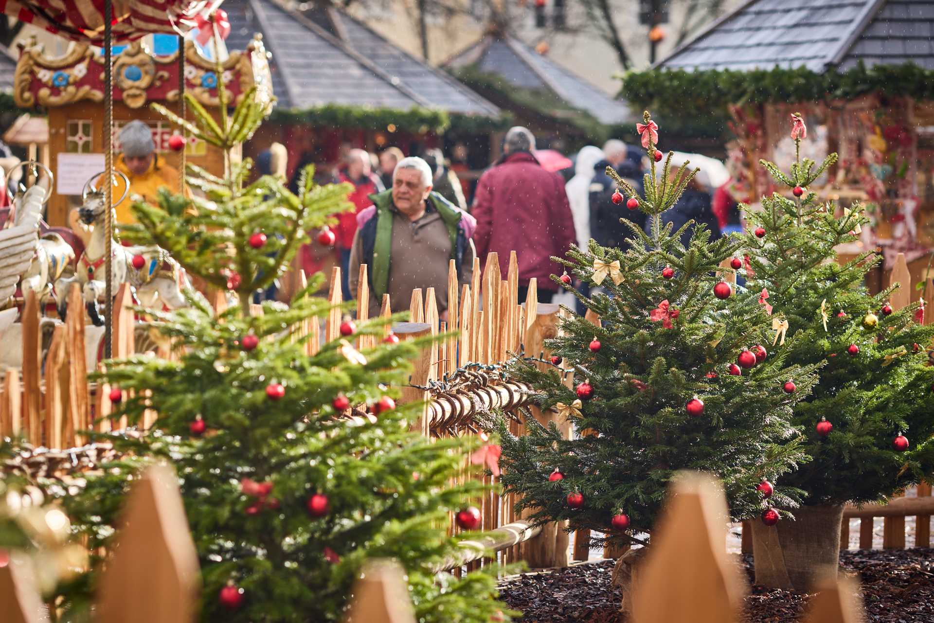Beautifully decorated Christmas trees create a wonderful atmosphere at the Brixen Christmas market.