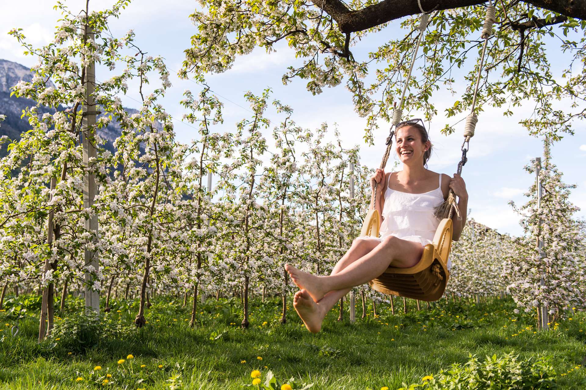 Una donna dondola su un'altalena, circondata da meli in fiore.