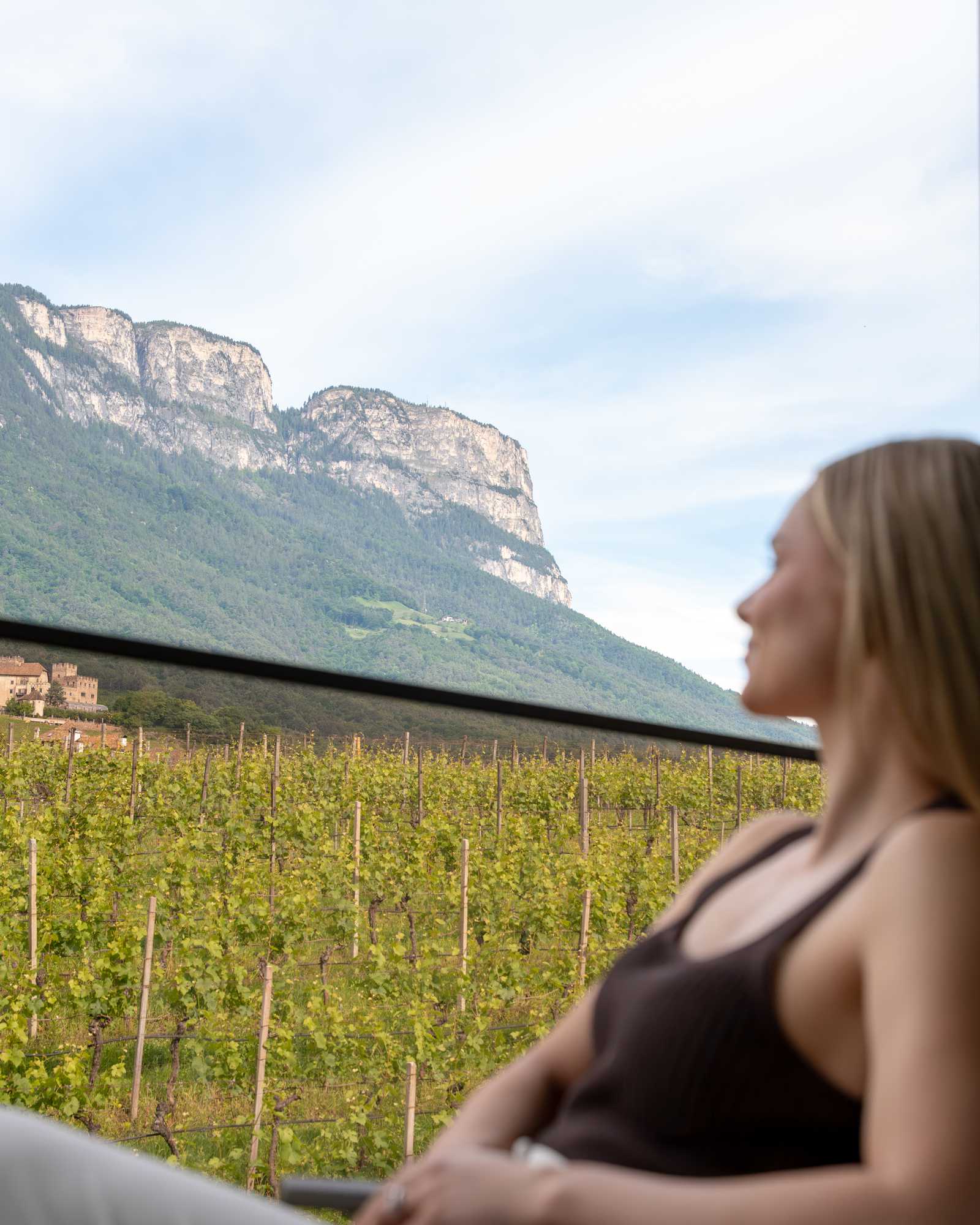 Just take a look at the vineyards without any time pressure. View of Pinot Noir vines