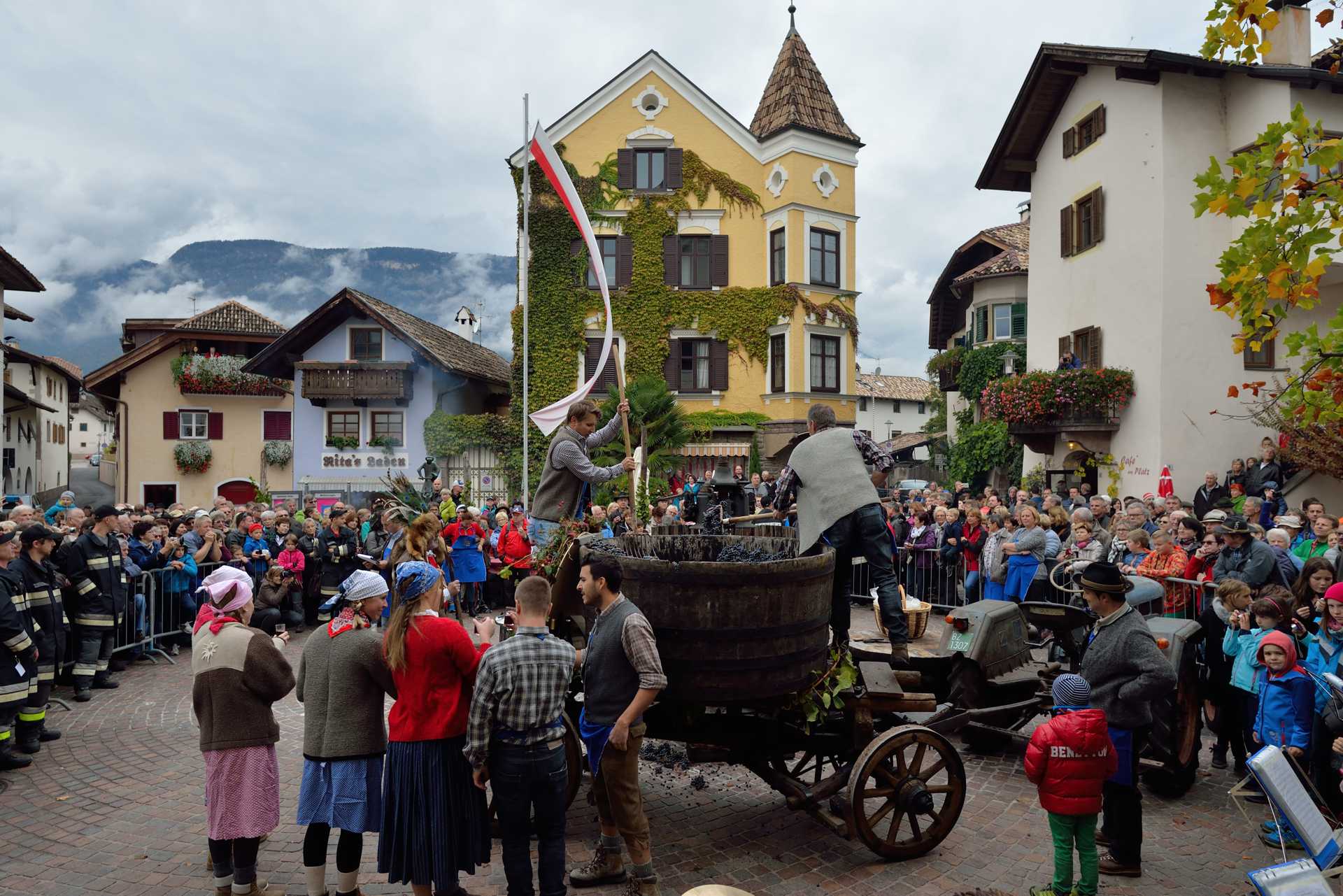 letzte Traubenfuhre in Girlan