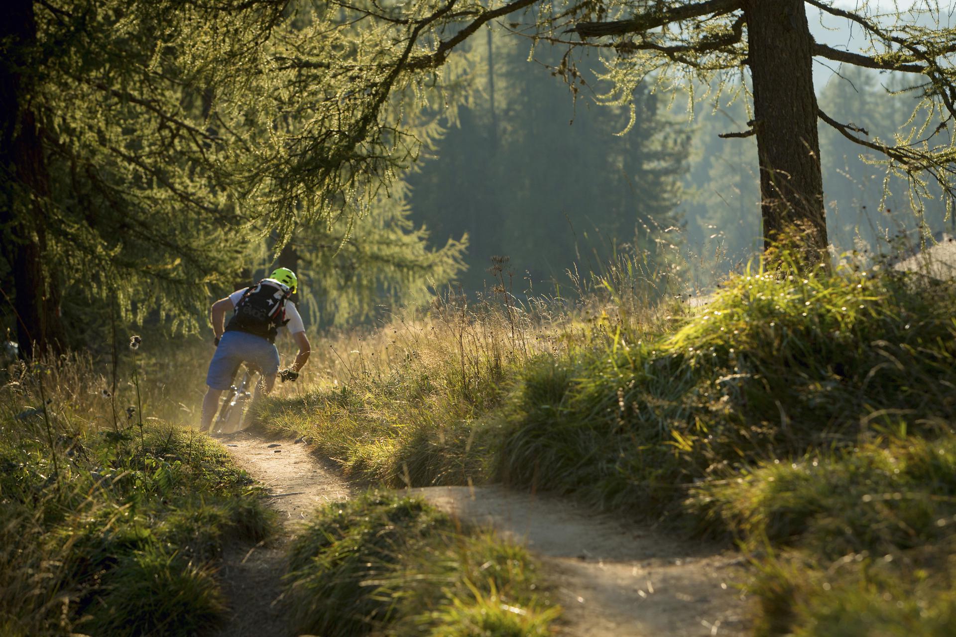 Downhill with the mountainbike