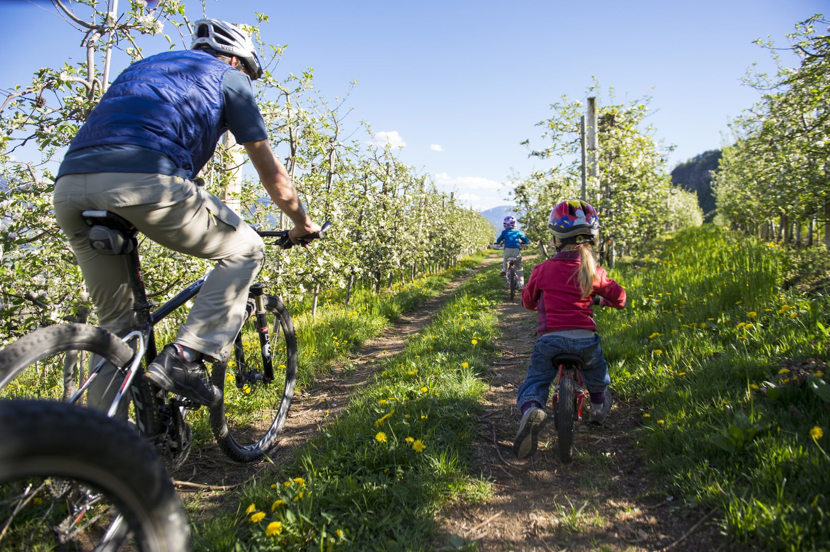 auch den Kleinen gefällt es durch die Apfelbäume mit Blüten zu radeln